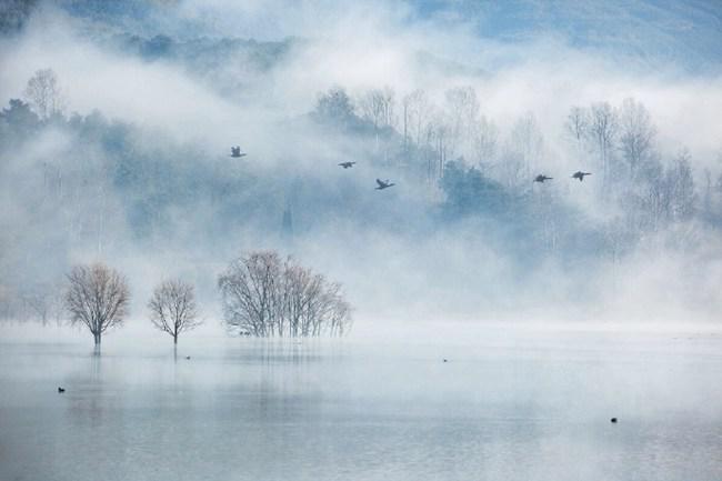 雾气环绕的唯美意境风景图片(8)