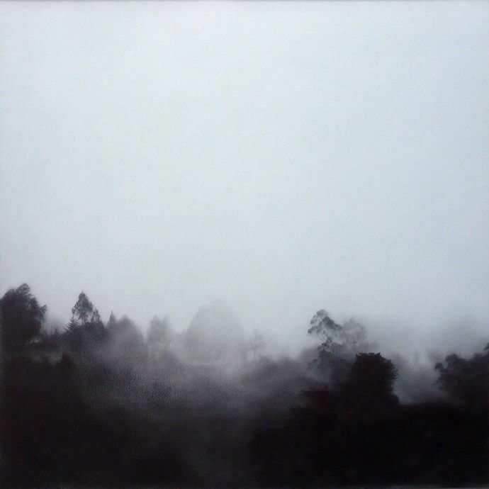 仙气十足的迷雾与森林唯美图片(2)