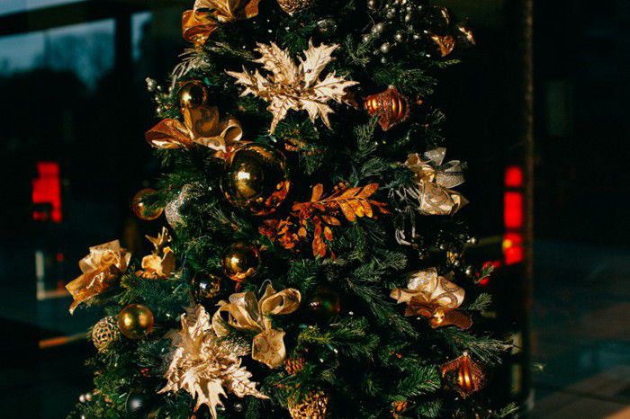 唯美的圣诞树装饰图片(8)