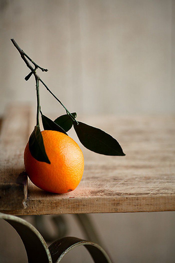 芸香科柑橘橙子水果唯美图片(8)