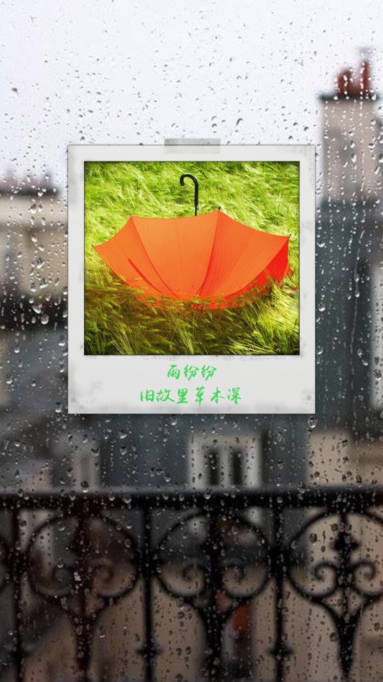 下雨图片唯美带字图片 下雨天的图片(4)