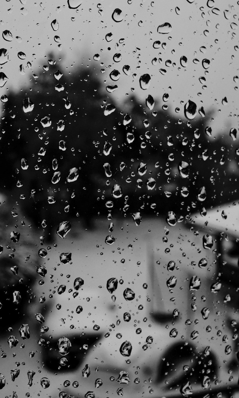 雨滴图片唯美 雨滴在玻璃上的图片(5)