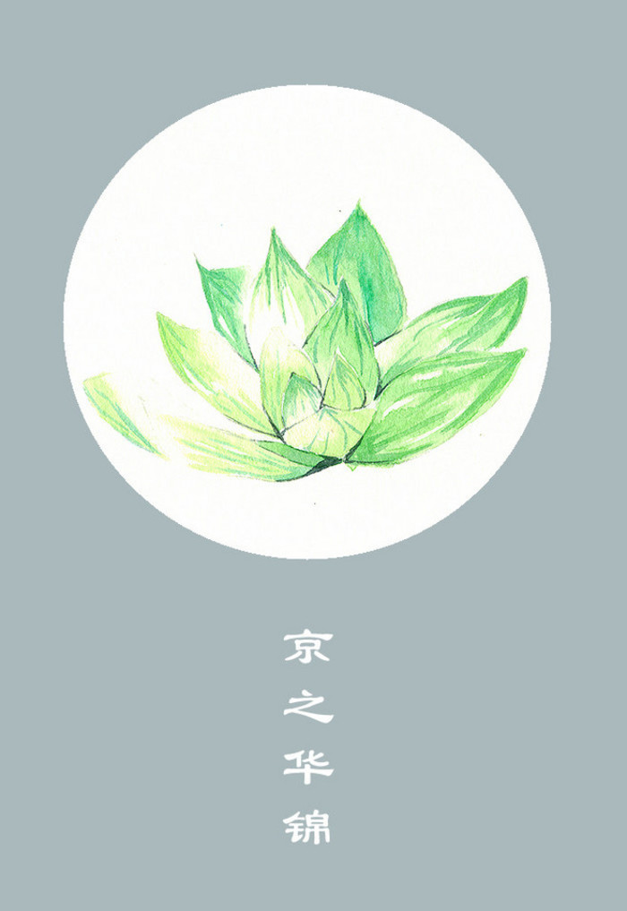 水彩手绘花卉图片大全(2)