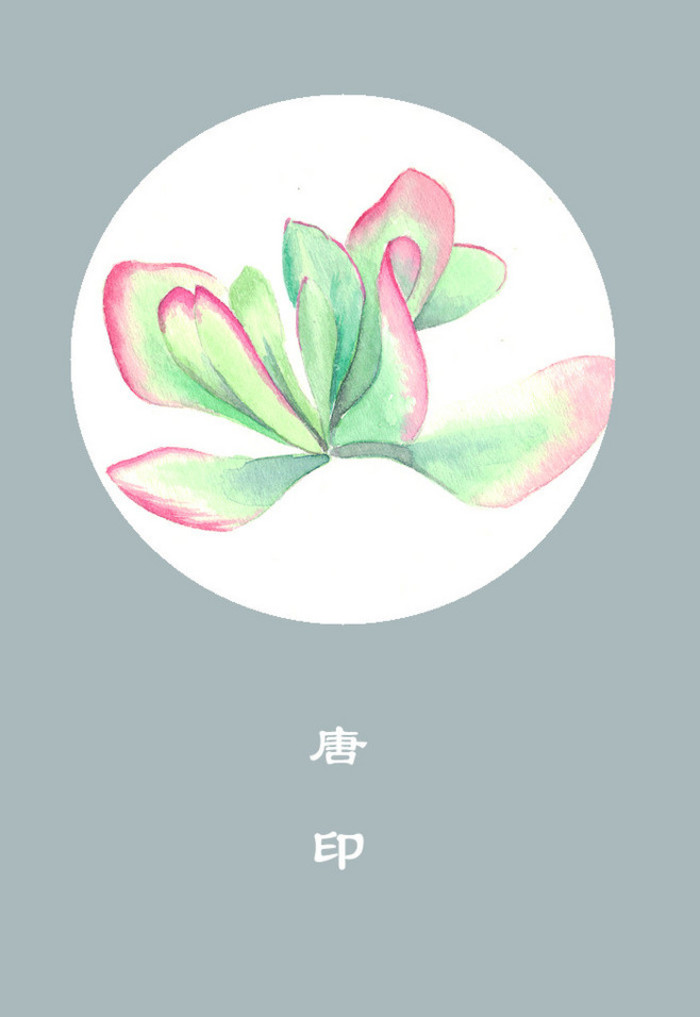 水彩手绘花卉图片大全(5)