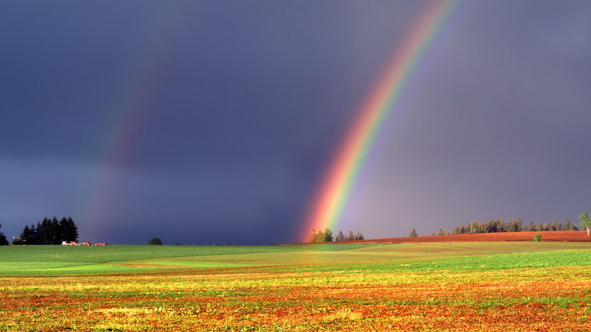 雨后彩虹图片大全 雨后彩虹的图片