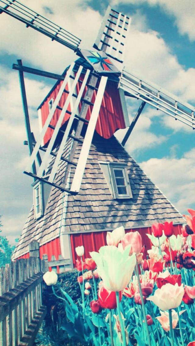 荷兰风车唯美图片