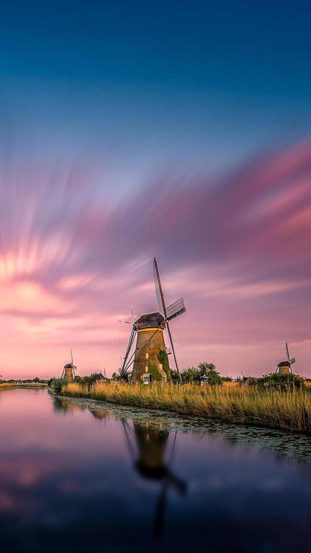 荷兰风车唯美图片(4)