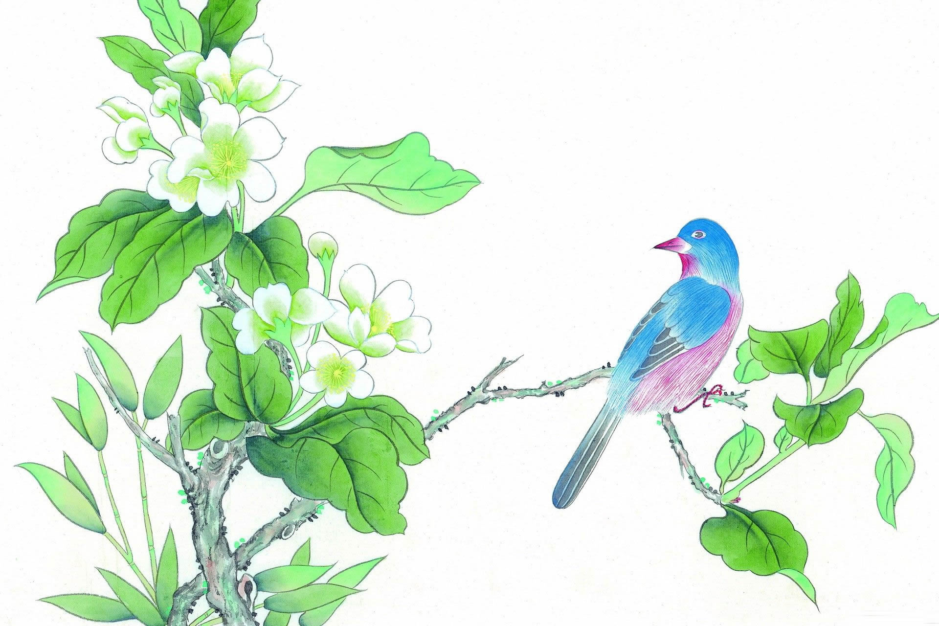 手绘花鸟植物彩色水墨画高清壁纸(5)