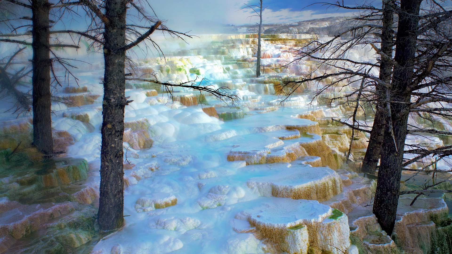 色彩斑斓的大自然 美国黄石公园图片(6)