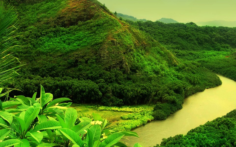 绿色山水风景图片(5)