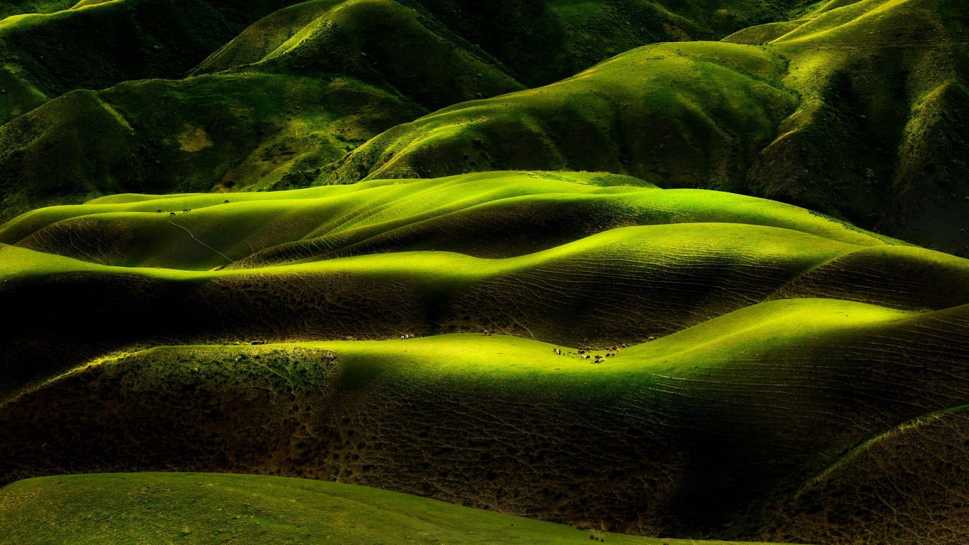 雨洗后的草原 新疆天山风景图片(2)