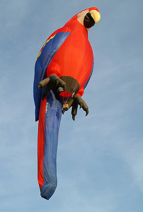 创意热气球图片 一个有关飞行的梦(4)