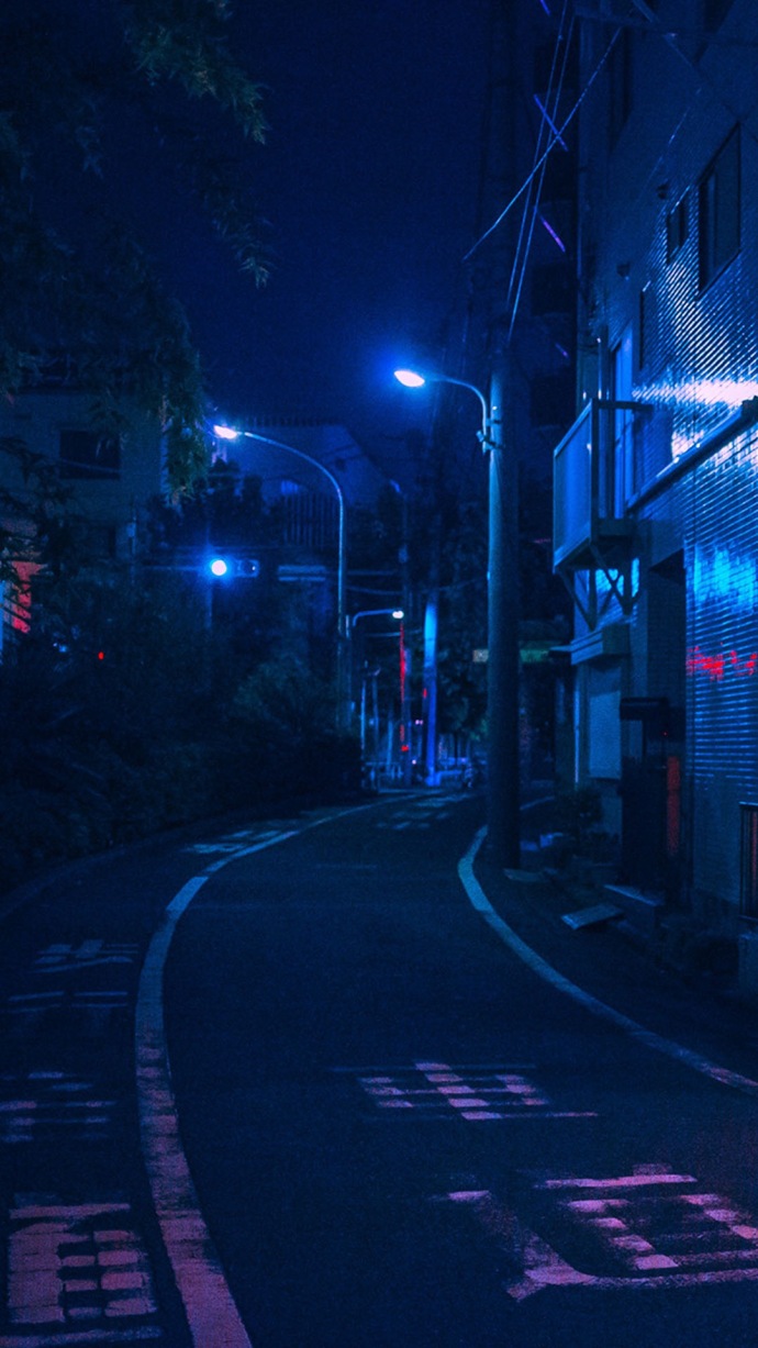 城市夜景图片手机壁纸 霓虹闪烁夜幕无声(4)