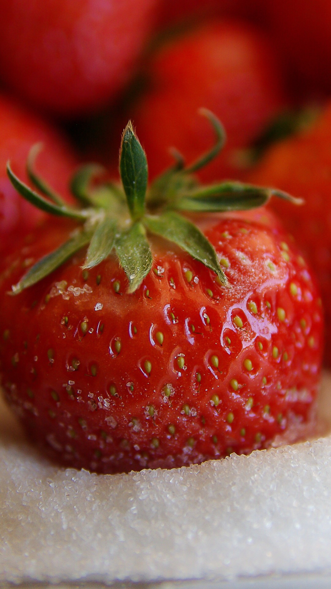 新鲜草莓图片素材(3)