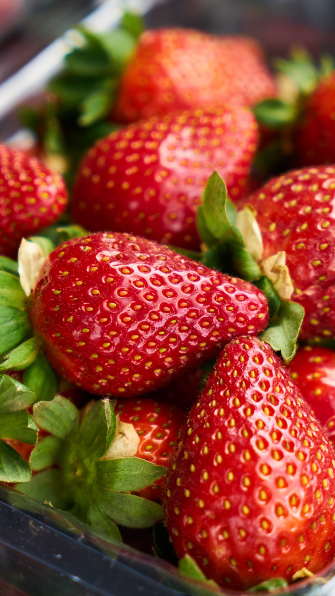 新鲜草莓图片素材(4)