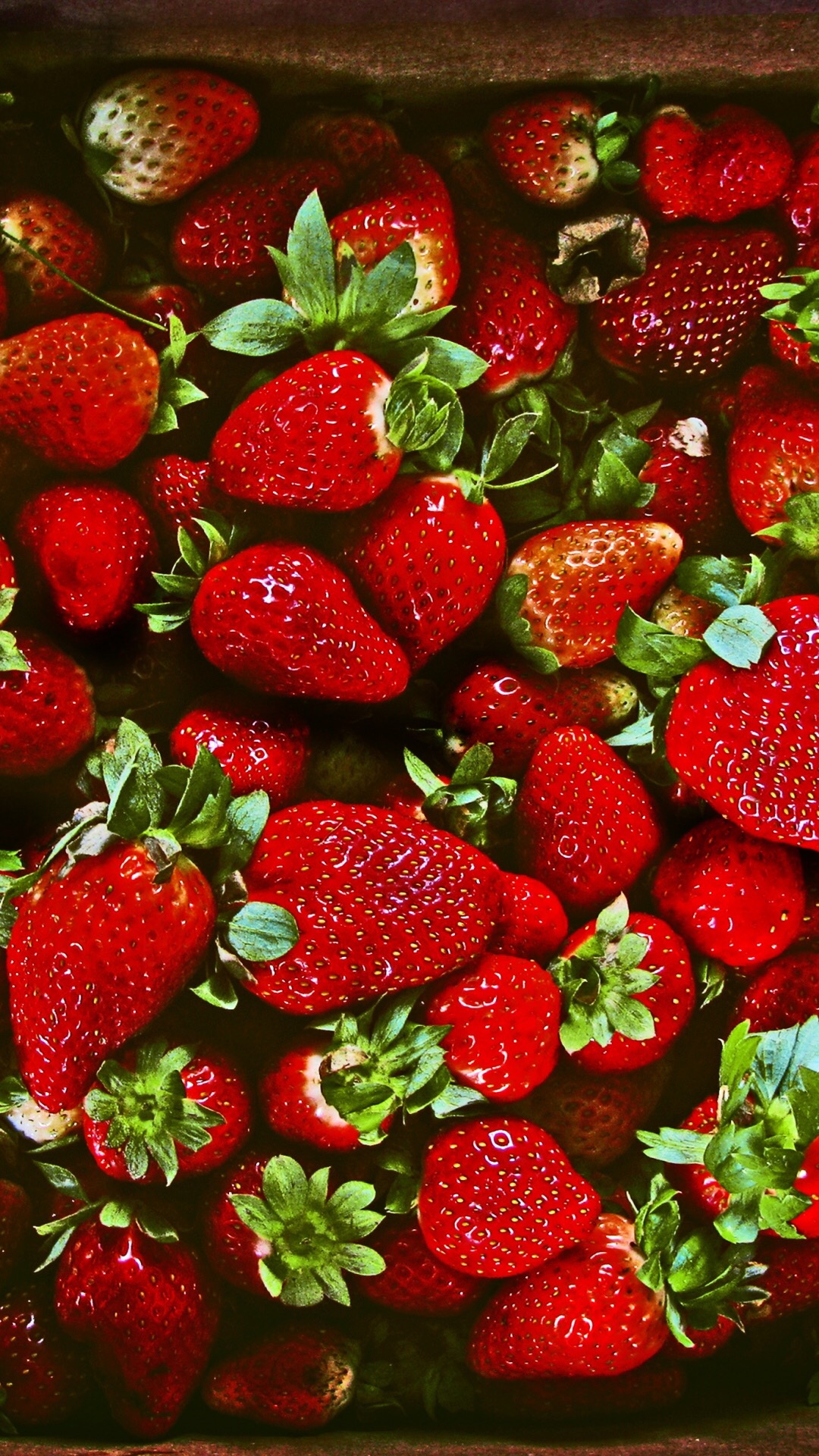 新鲜草莓图片素材(7)