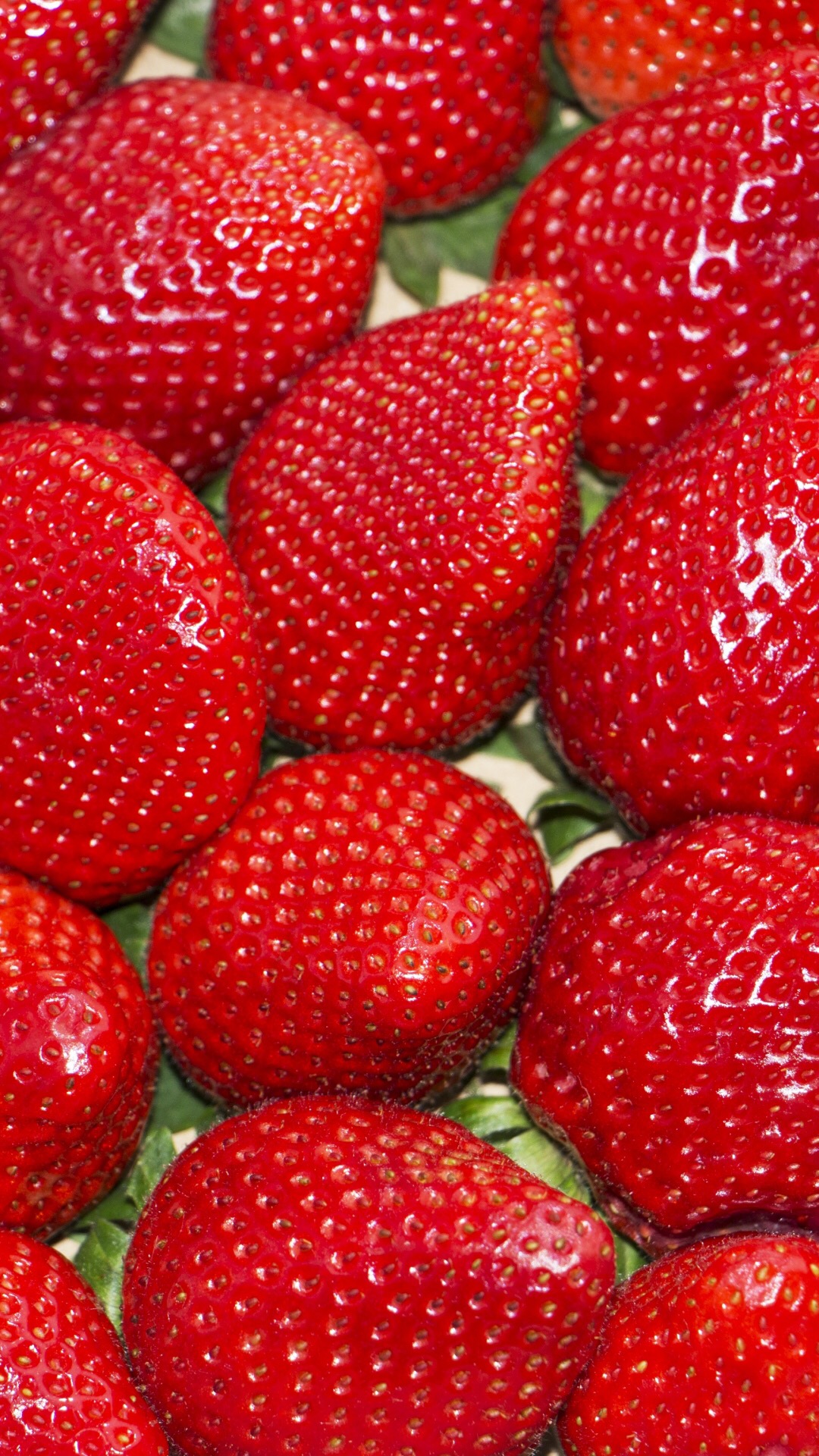 新鲜草莓图片素材(9)