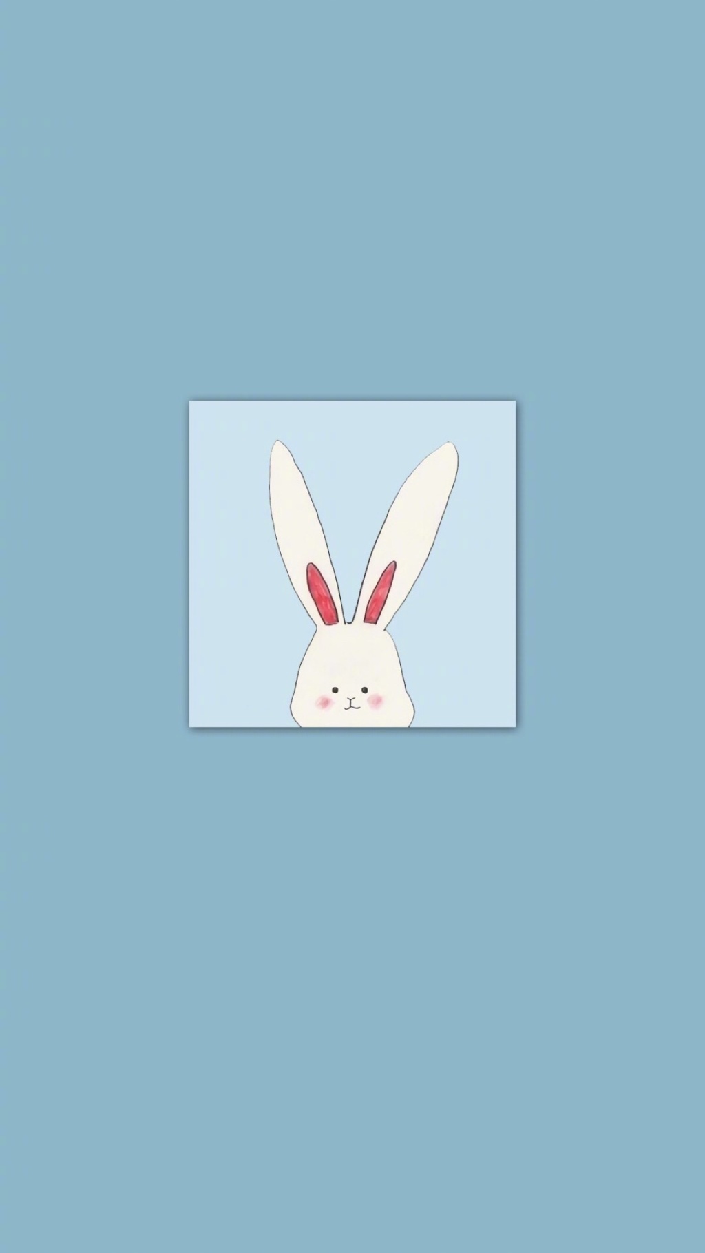 卡通兔子壁纸手机可爱 兔子先生多想抱抱你(4)