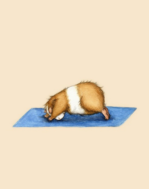 动物手绘图片素材 做瑜伽的小仓鼠(3)