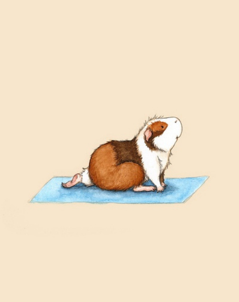 动物手绘图片素材 做瑜伽的小仓鼠(4)
