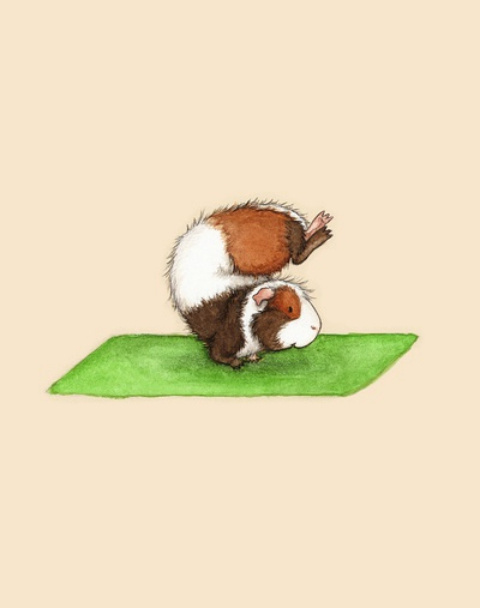 动物手绘图片素材 做瑜伽的小仓鼠(7)