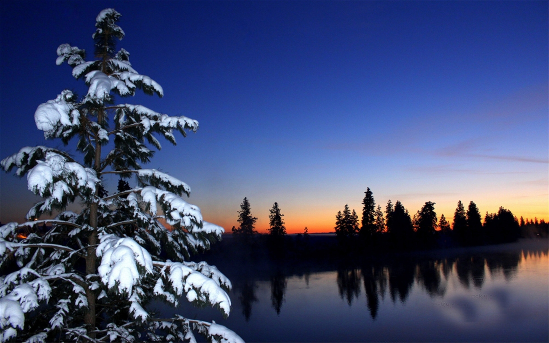 冬天雪景图片大全 奇异美丽的冬日雪景图片(2)
