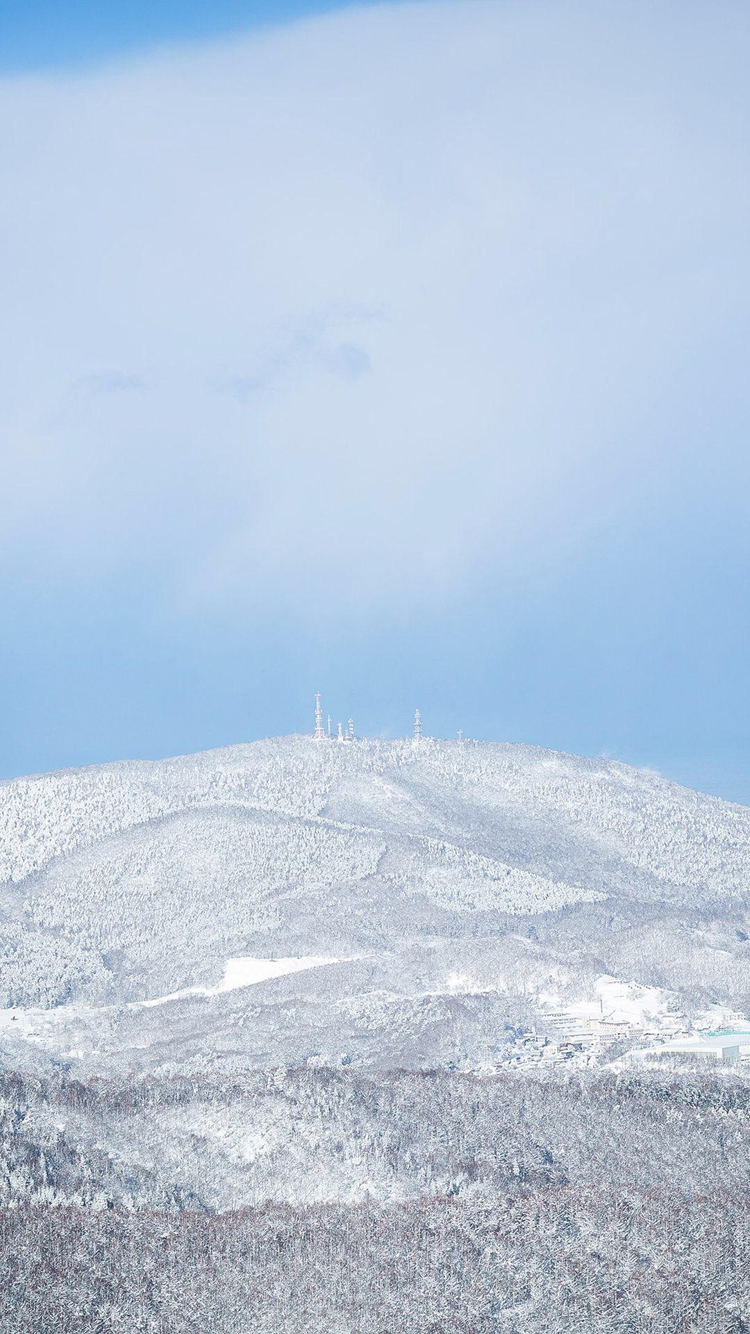 雪景图片唯美 唯美白色雪景人文景观图片(3)