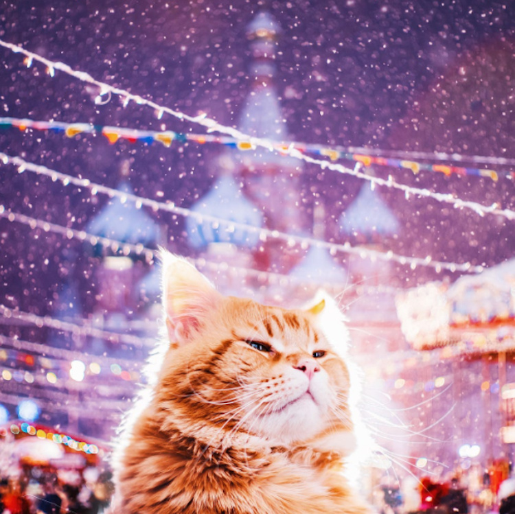 莫斯科雪景图片大全 梦幻的冬日莫斯科(7)