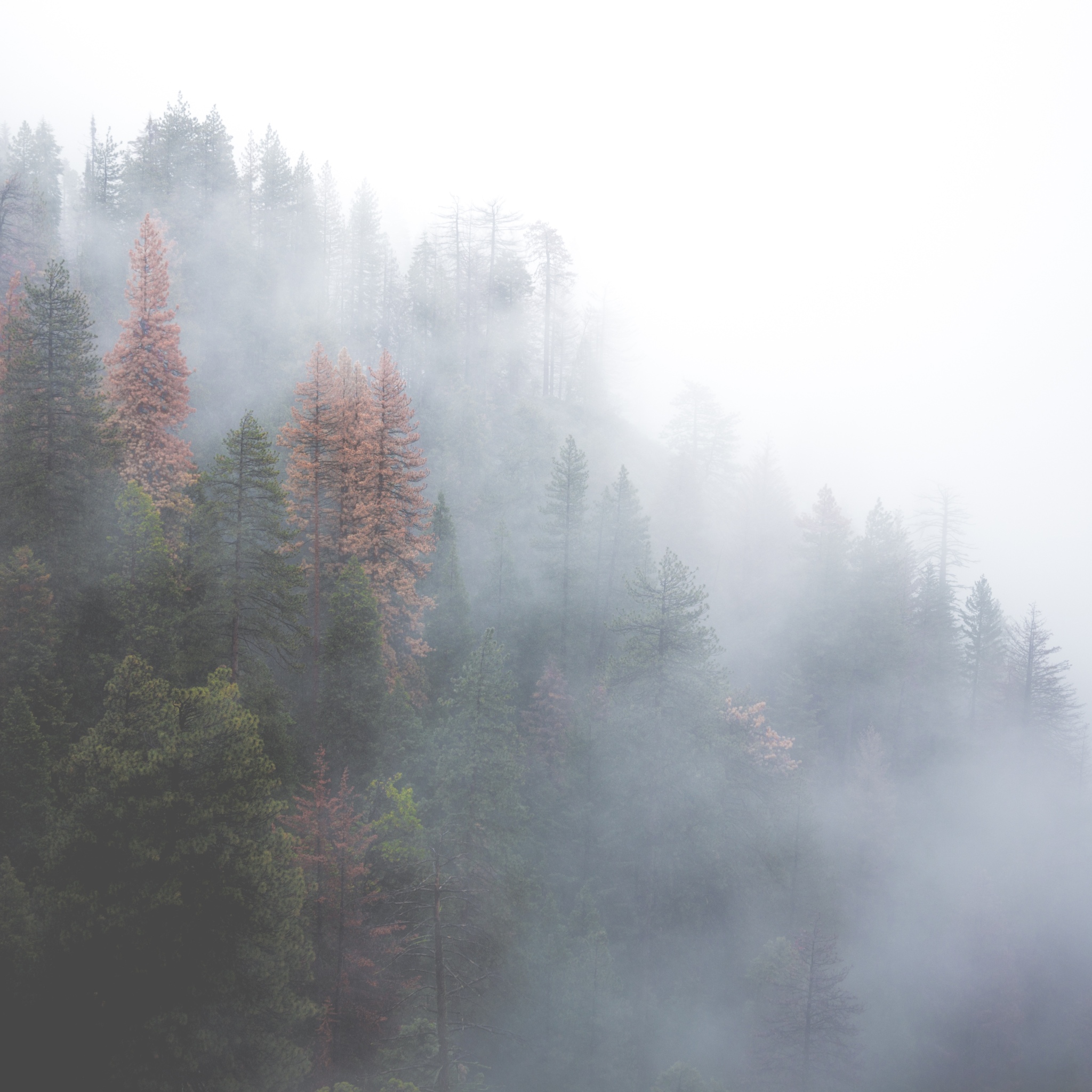 云雾风景图片 仙境一般的云雾缭绕(4)
