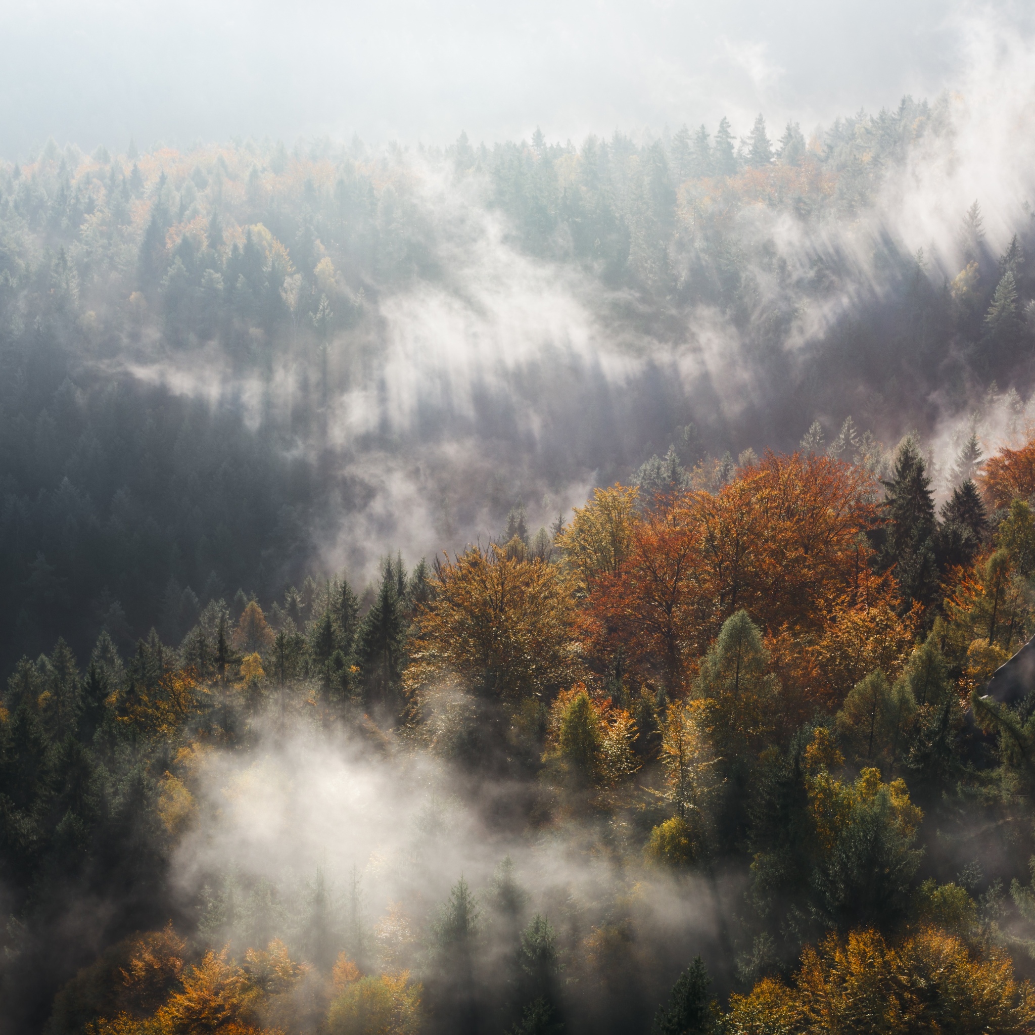云雾风景图片 仙境一般的云雾缭绕(5)