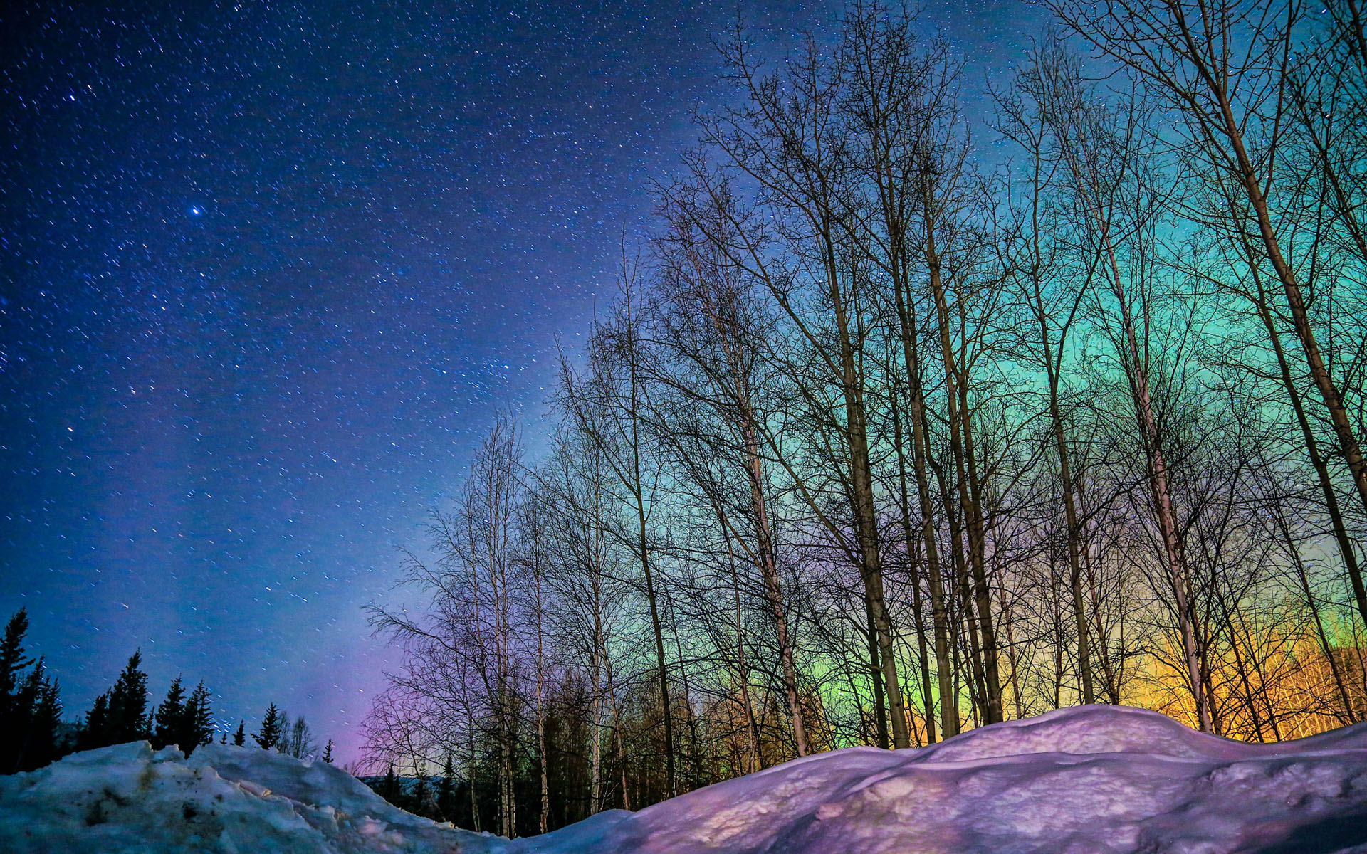 夜景图片唯美 阿拉斯加超美极光夜景图片