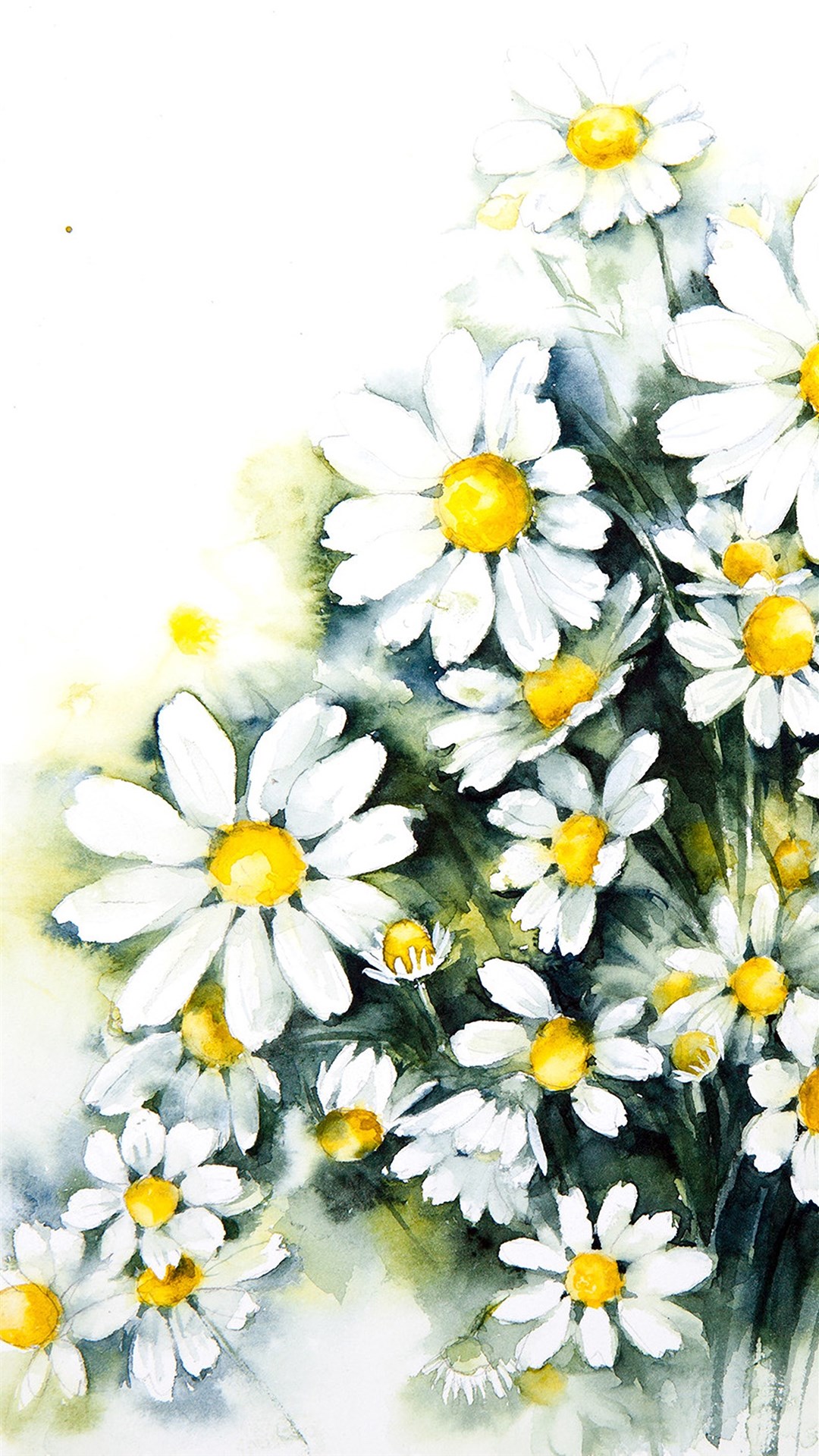 水彩花卉图片大全 唯美小清新花卉植物插画