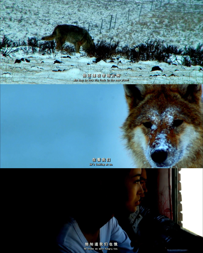 重返狼群电影截图 重返狼群经典语句(3)