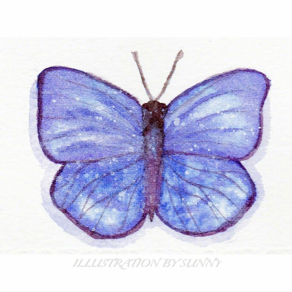 水彩蝴蝶图片素材 淡淡蝴蝶落纸上(6)