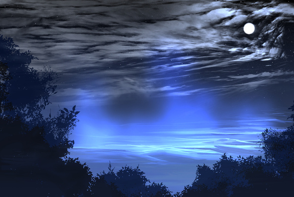 夜景插画图片 蓝色的夜，只见星月(4)