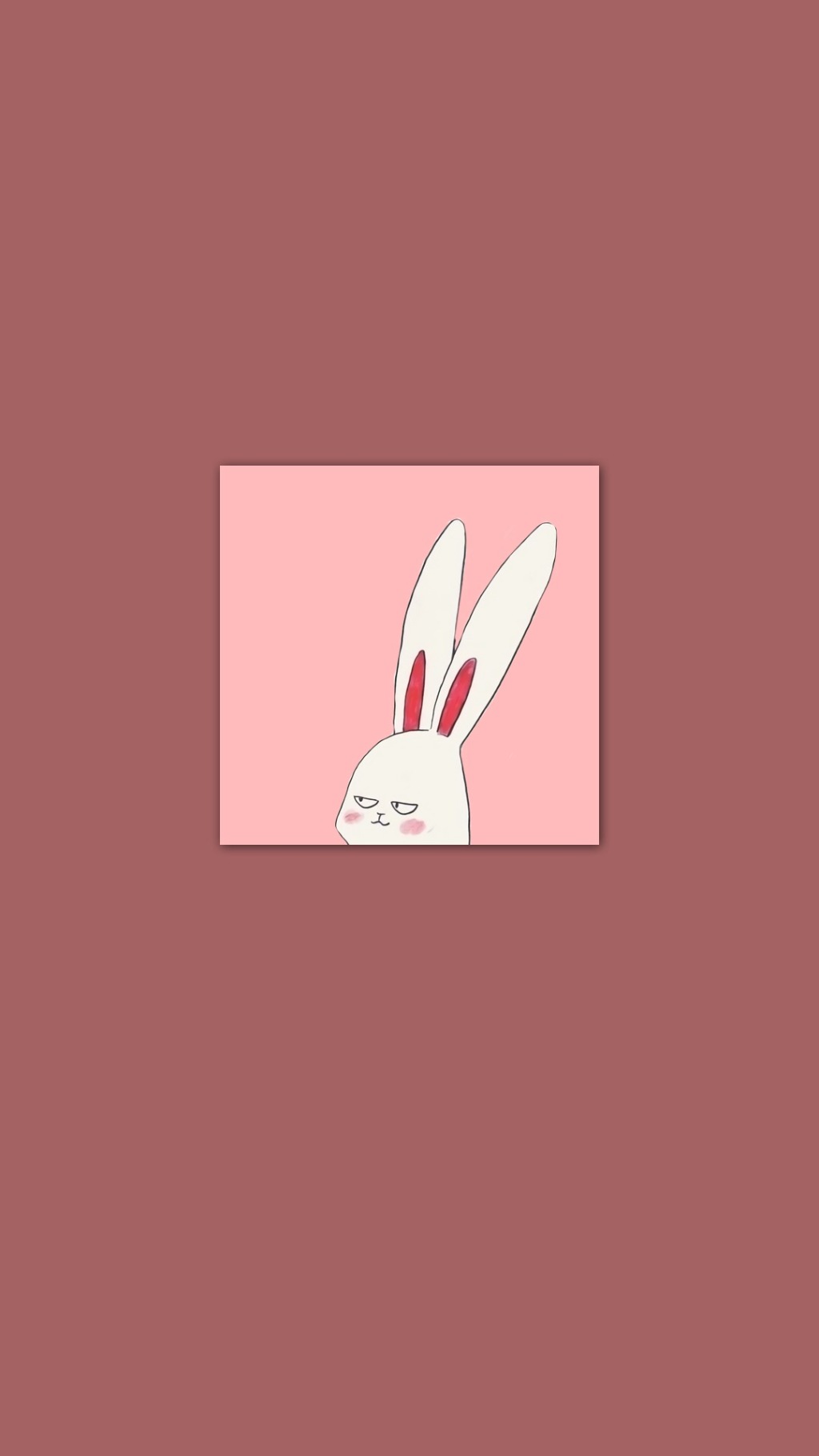 卡通兔子手机壁纸 可爱兔子手机壁纸(6)