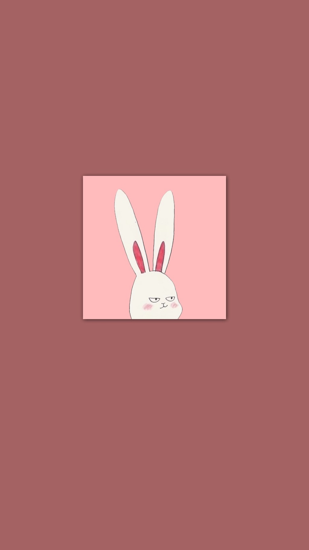 卡通兔子手机壁纸 可爱兔子手机壁纸(4)