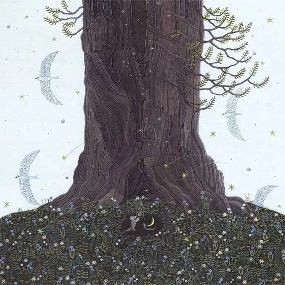 插画图片大全 一个关于森林的梦(3)