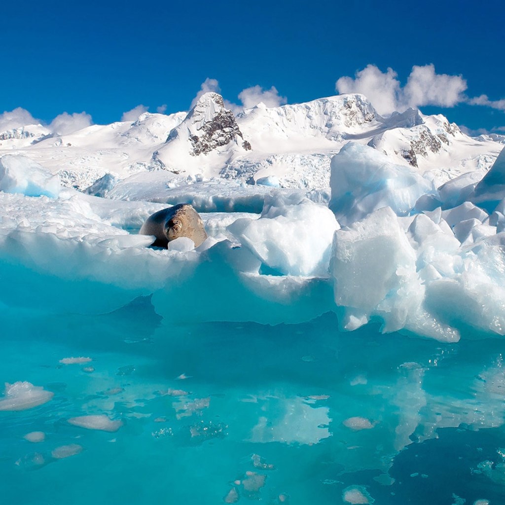 冰山雪景图片 南极冰山冰凌图片(3)