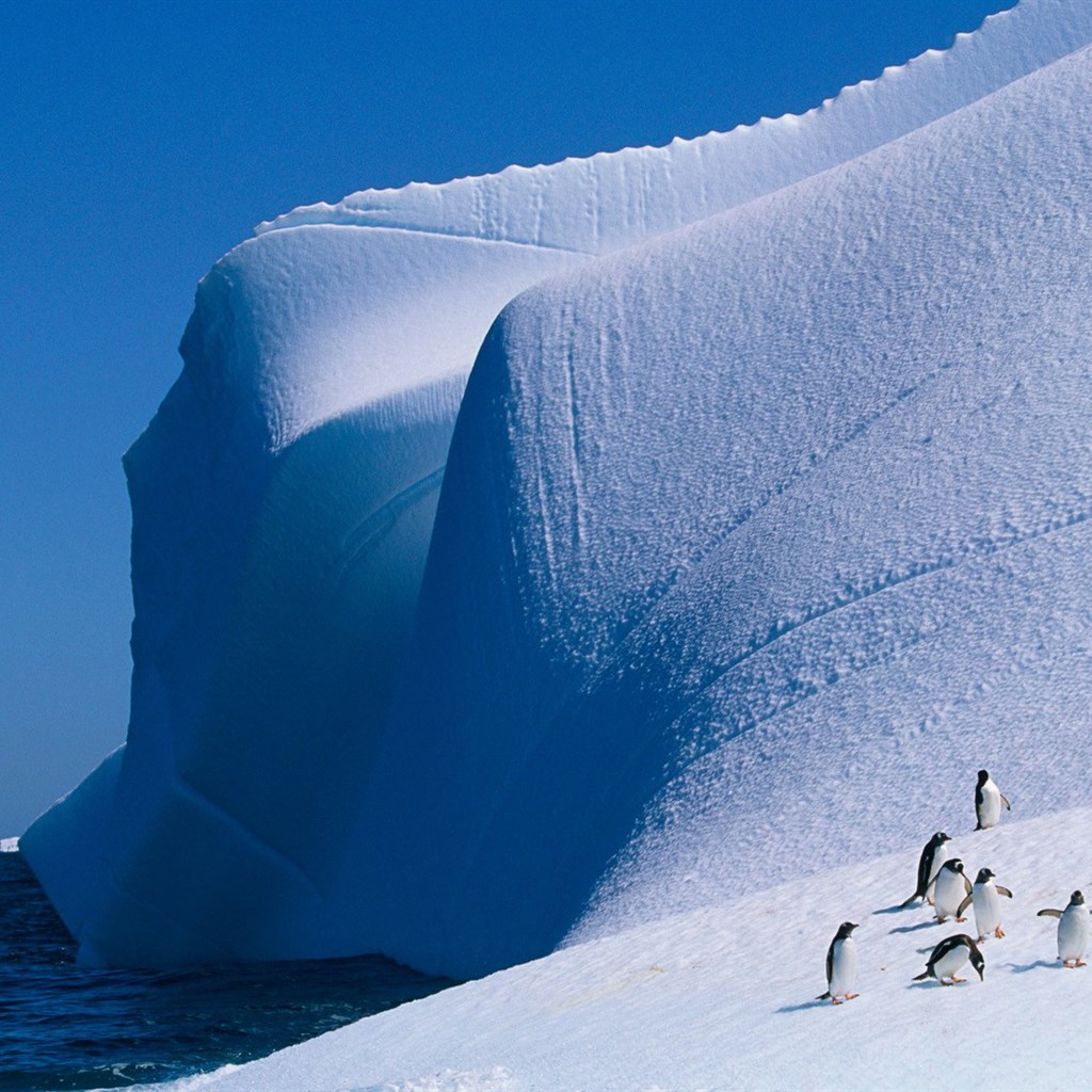冰山雪景图片 南极冰山冰凌图片(6)