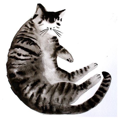 水彩猫咪图片简约 猫的姿态(6)
