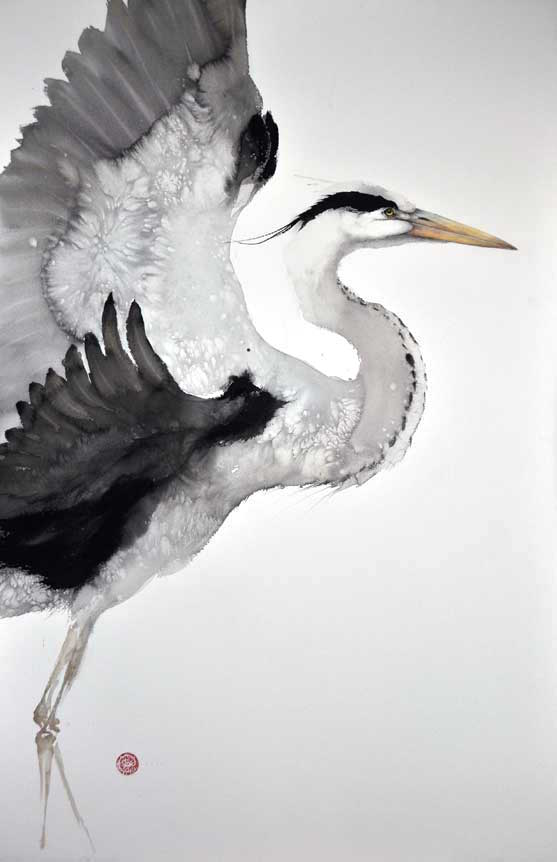 水彩鸟类图片 在中国水墨中融入水彩(8)