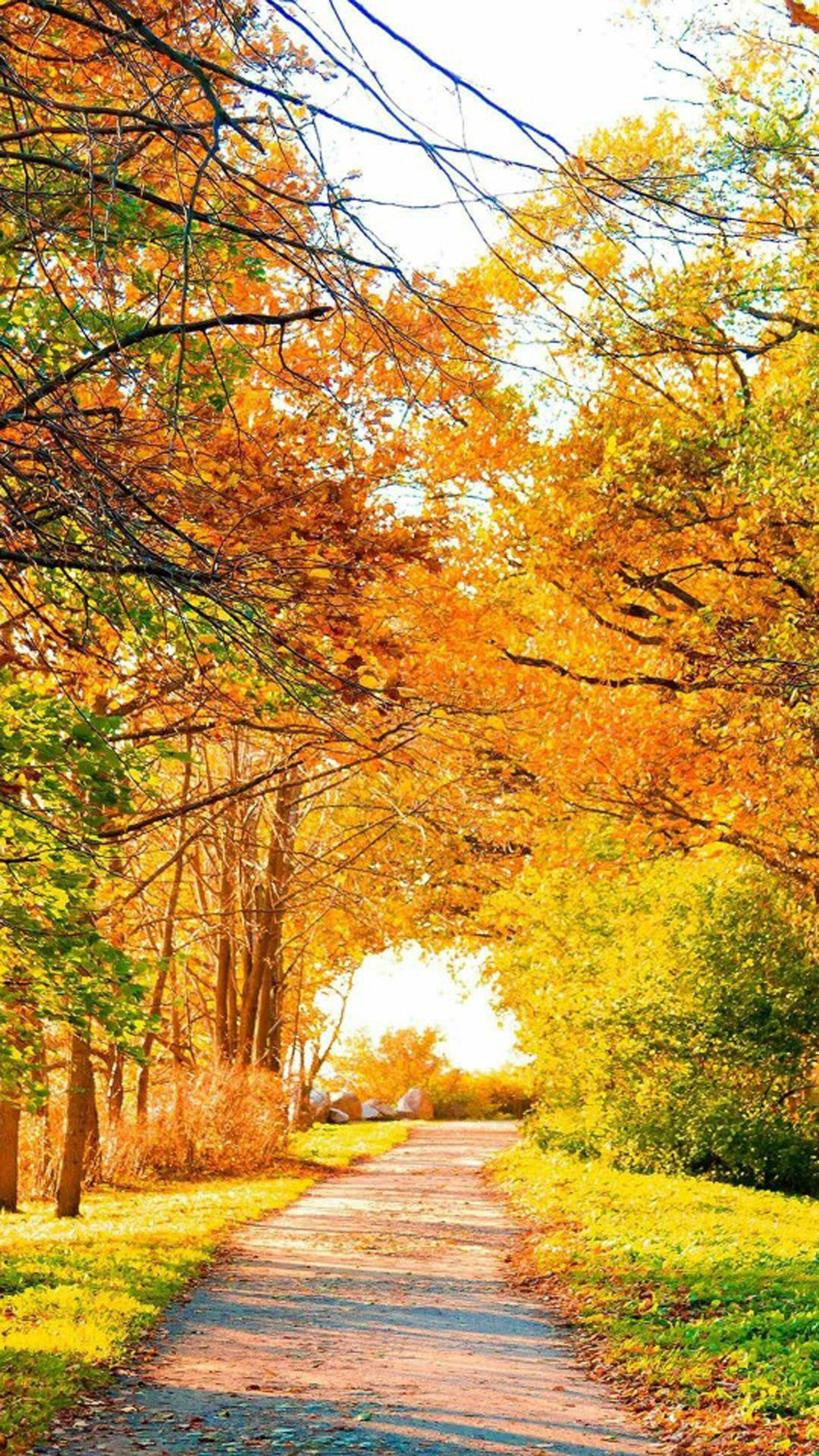 风景图片高清 唯美秋季风景图片(5)