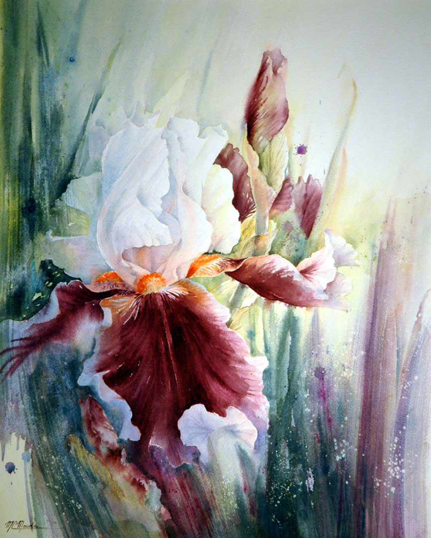 水彩画植物花卉图片 手绘小清新水彩植物图片(6)