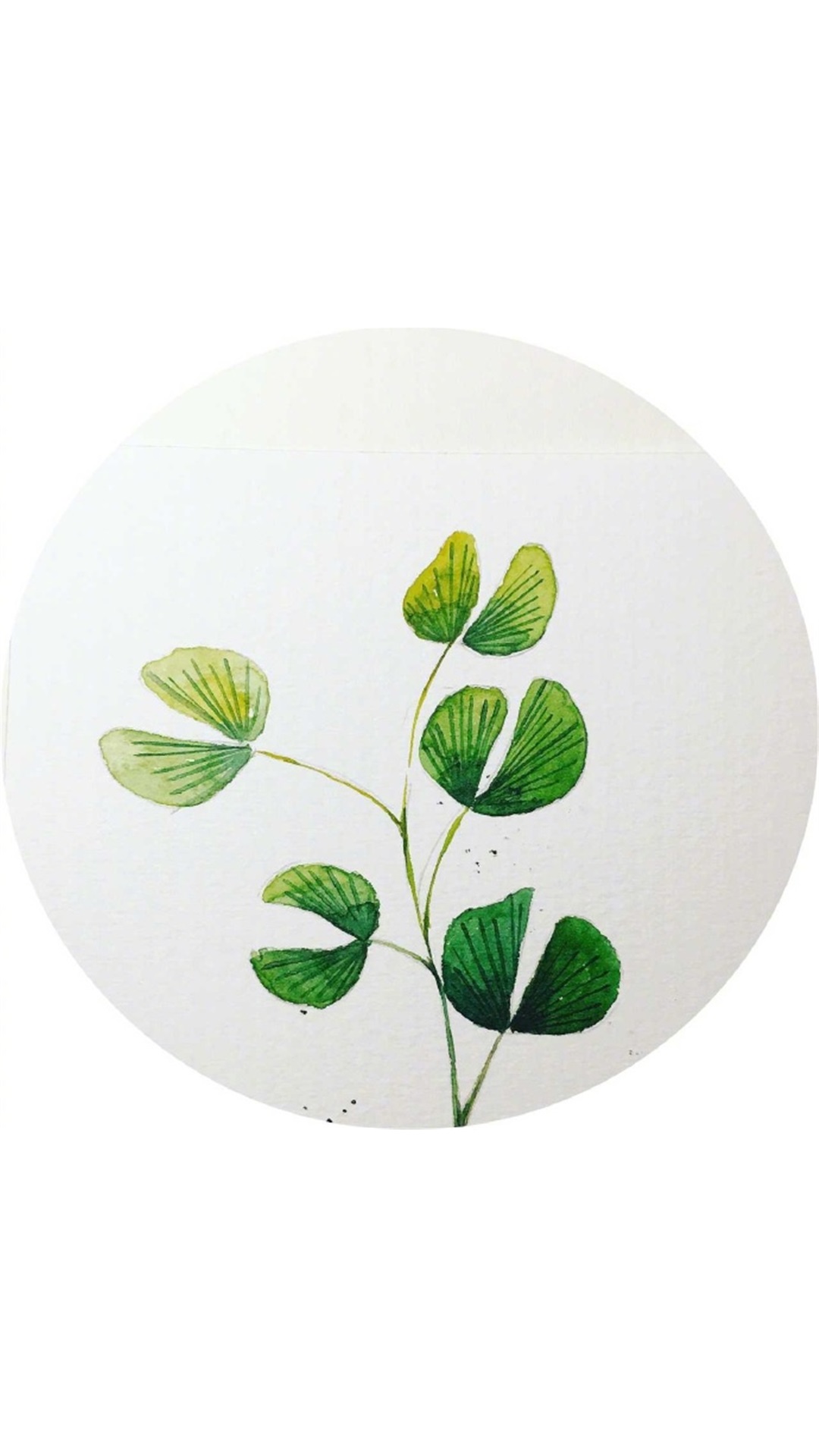 植物插画手绘图片 唯美绿色植物插画(3)