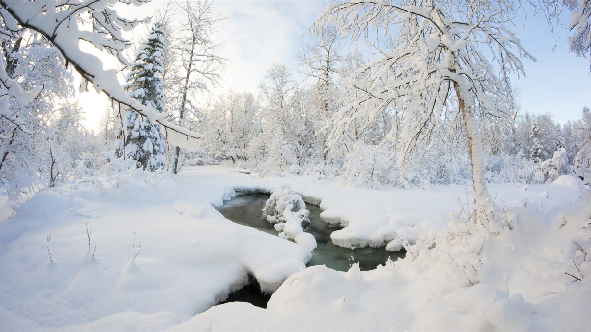 雪景图片唯美 白雪皑皑唯美冬季雪景图片(3)