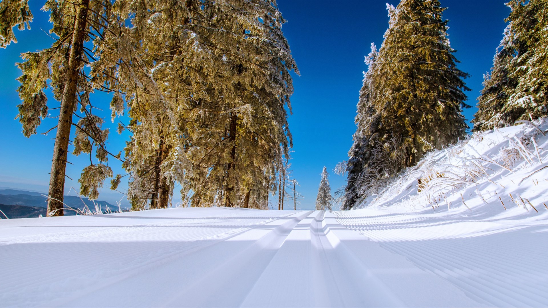 雪景图片唯美 白雪皑皑唯美冬季雪景图片(6)
