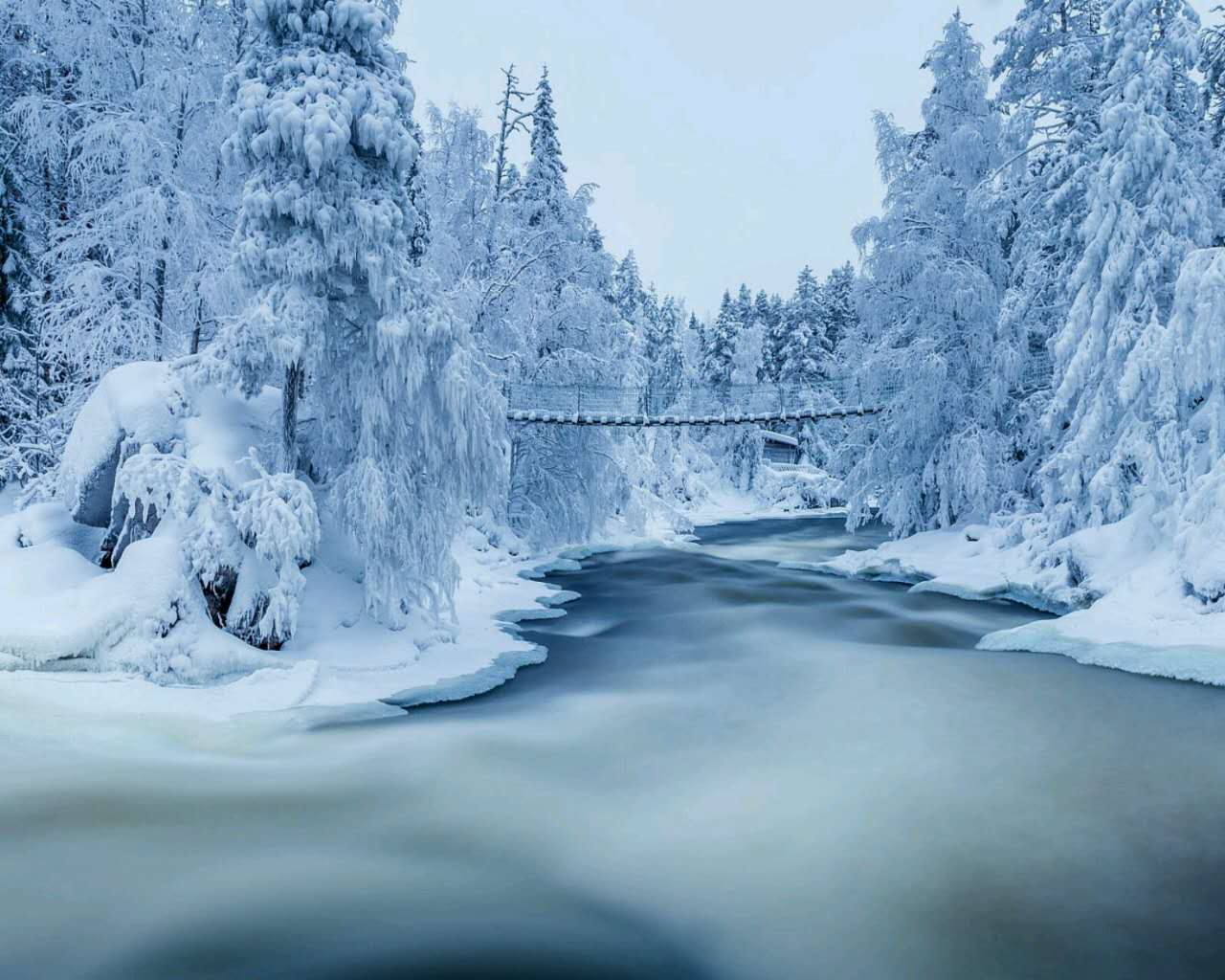 雪景图片唯美 白雪皑皑唯美冬季雪景图片(7)