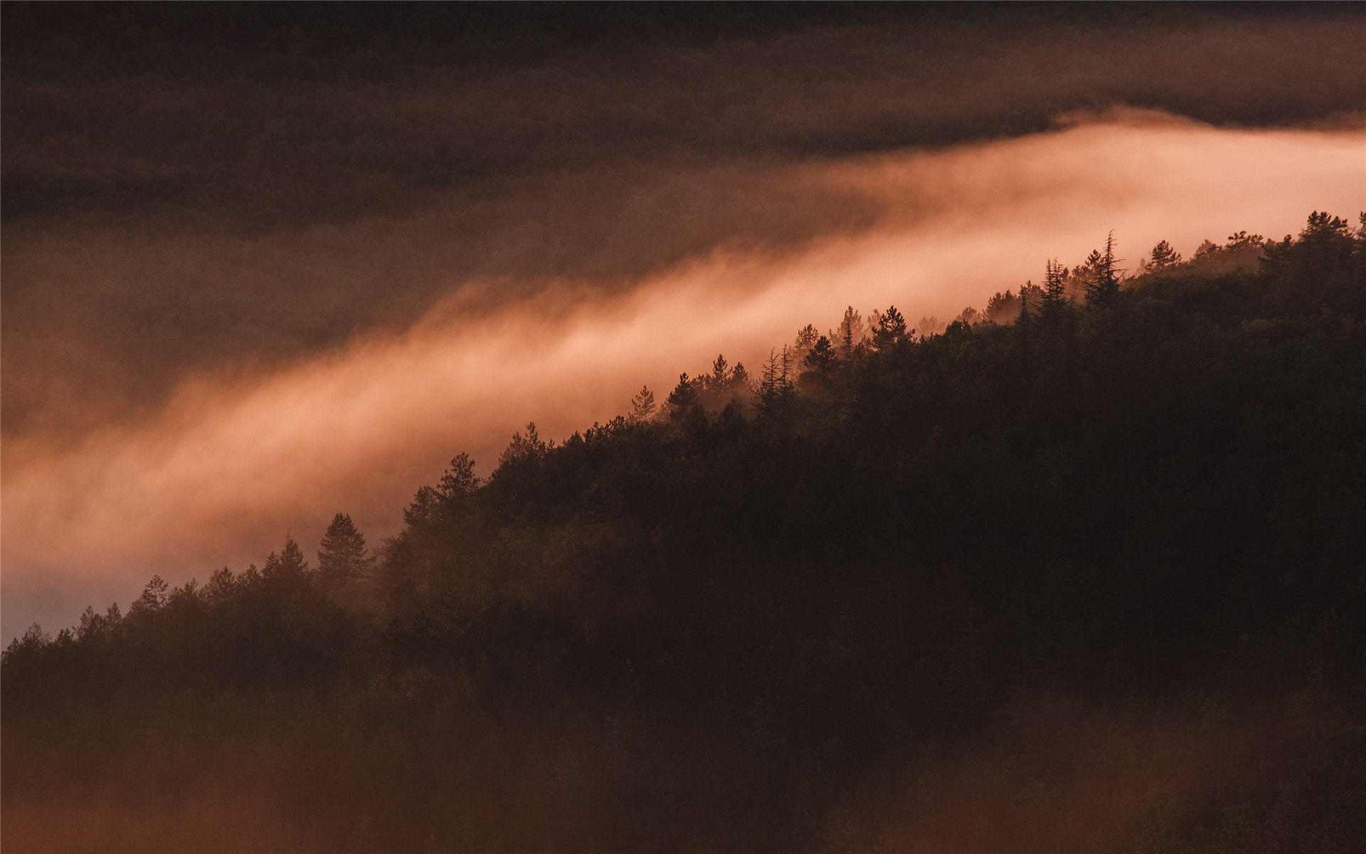 摄影图片赏析 云雾间的山林朦胧意境摄影图片