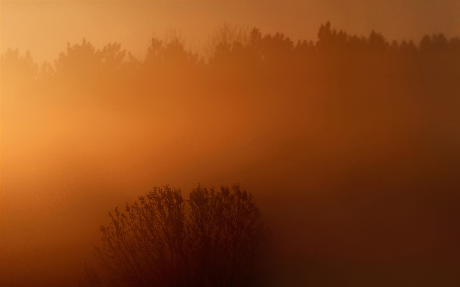 摄影图片赏析 云雾间的山林朦胧意境摄影图片(2)